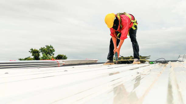 Best Cold Roofs  in Wayne Heights, PA
