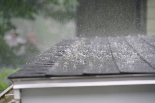 Best Asphalt Shingles Roofing  in Wayne Heights, PA