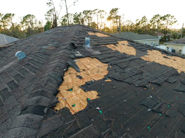 Best Asphalt Shingle Roofing  in Wayne Heights, PA