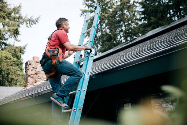 Best Skylight Installation and Repair  in Wayne Heights, PA